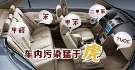 車內甲醛正常值以及車內放什么東西可以除甲醛？